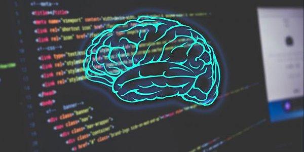 Internet beyinlerimizi nasıl etkileyebilir? Çevrimiçi yaşam tarzımız, dikkat, hafıza ve sosyal becerilerle ilgili beyin bölgelerini gerçekten değiştiriyor mu?