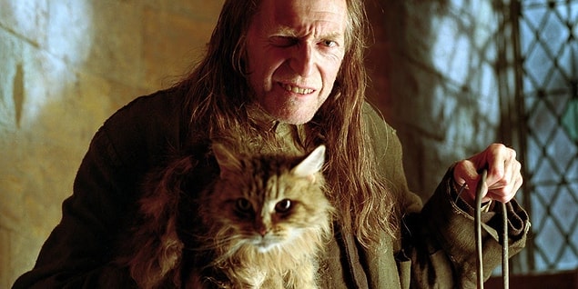 13. Karakter isimlerine gelirsek, mitolojide çok gözlü olması ve her şeyi görmesiyle bilinen Argus da Harry Potter serisinde kendine yer bulmuştur. Gözünden hiçbir şey kaçmayan hademenin adının J.K. Rowling tarafından Argus olarak seçilmesi tesadüf değildir.