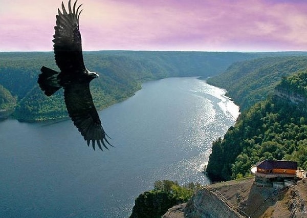 9. А какая республика стала одной из первых в стране, положив начало внутреннему федеративному устрою нынешней России?