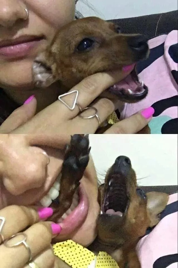 13. Его же оружием!