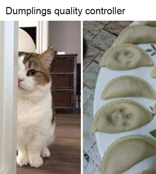 6. Кот, ответственный за контроль качества на производстве варенников