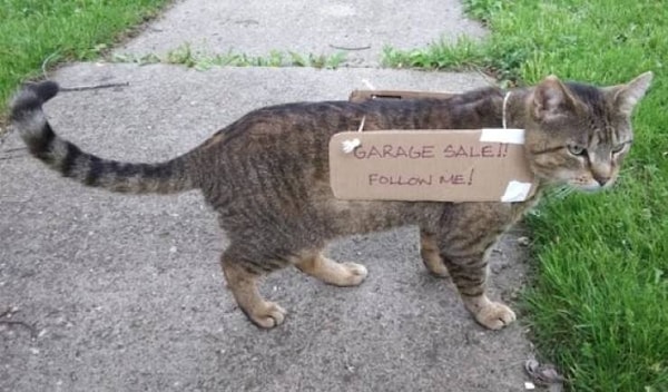 14. Кот-рекламщик: "Распродажа! Следуйте за мной!"