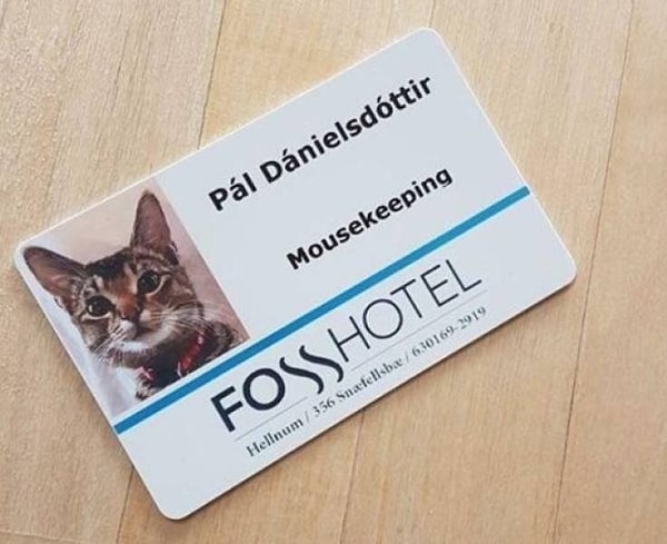 19. Ответственный по маускипингу в отеле :)