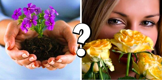 Тест: Какой вы цветок?