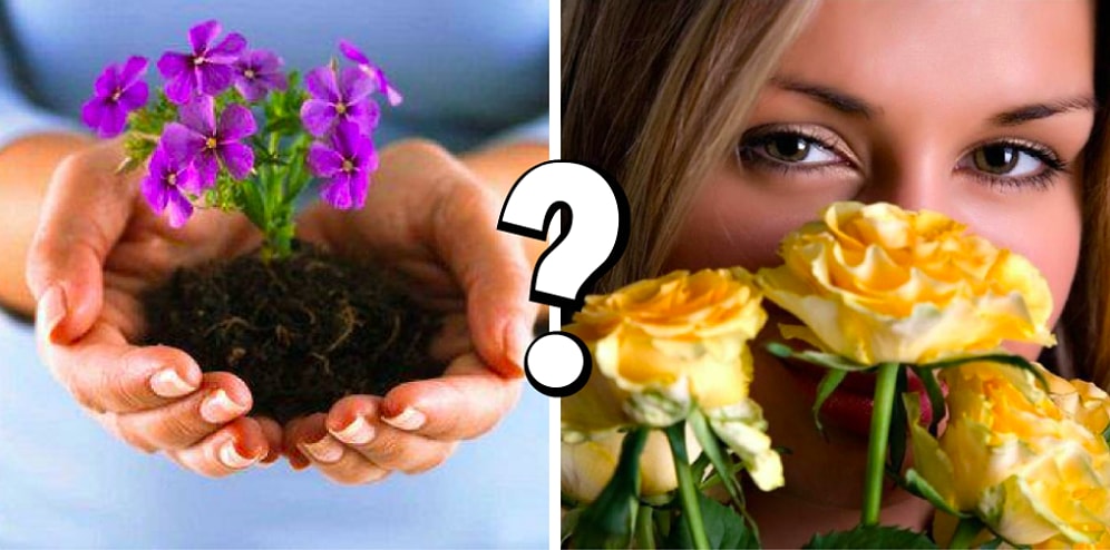 Тест: Какой вы цветок?