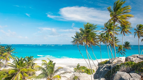 10. Трезубец можно увидеть на флаге...