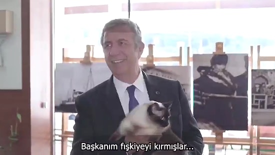 Ankara Belediyesi'nin Düzenlediği 'Sokak Hayvanları Çalıştayı'na Katılan Davetsiz Misafir: Khaleesi