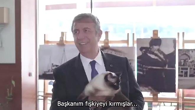 Ankara Belediyesi'nin Düzenlediği 'Sokak Hayvanları Çalıştayı'na Katılan Davetsiz Misafir: Khaleesi