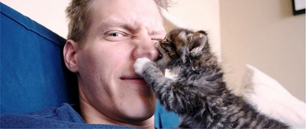 15. Что хочет ваш кот, когда внезапно атакует вашу ногу или руку? (или, например, нос, как на фото :)