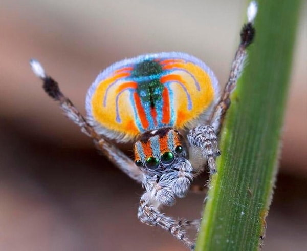 6. Даже если он и не позирует, а занимается чем-то непонятным нам с вами, мимо него все равно нельзя было пройти