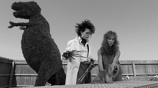 2. А припоминаете цвет блузки у соседки Эдварда из фильма "Эдварл Руки-ножницы"?