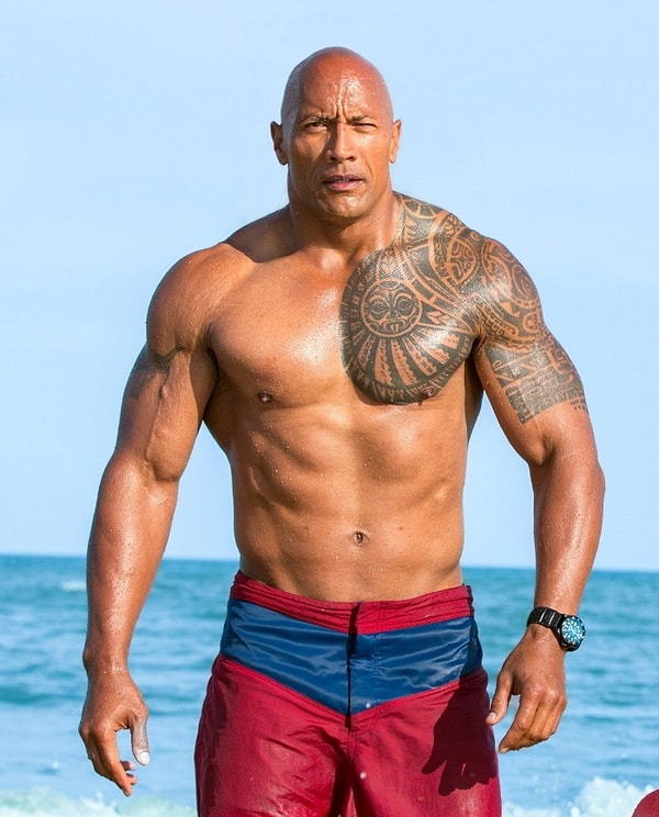 3. Где находится самая длинная мышца — портняжная?