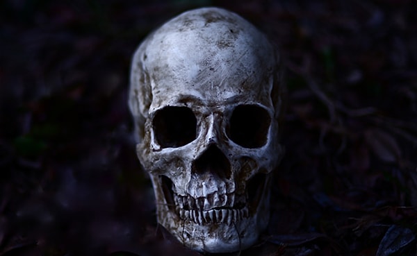 8. Что есть в черепе человека?