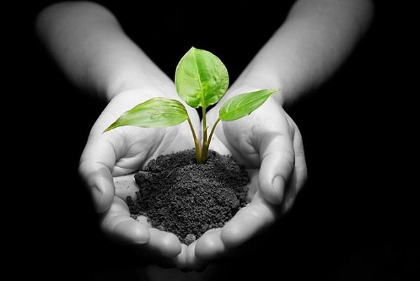 6. Какая планета, кроме Земли, по мнению ученых, может поддерживать жизнь?