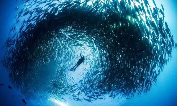 2. Какой из океанов самый крупный?