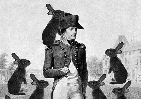 4. Napoléon Bonaparte, en tuhaf yenilgilerinden birini 'tavşanlara' karşı almıştı. İmparator, bir gün kendisi ve adamları için bir tavşan avı yapılmasını istedi ve bunun için yaklaşık 3 bin tavşan toplandı.