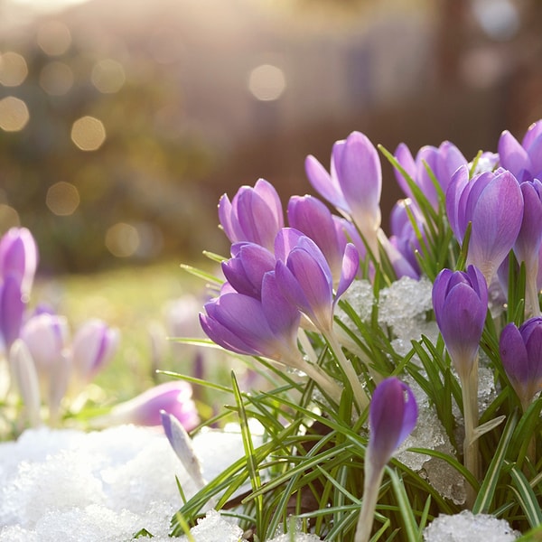 Вы родились в марте!