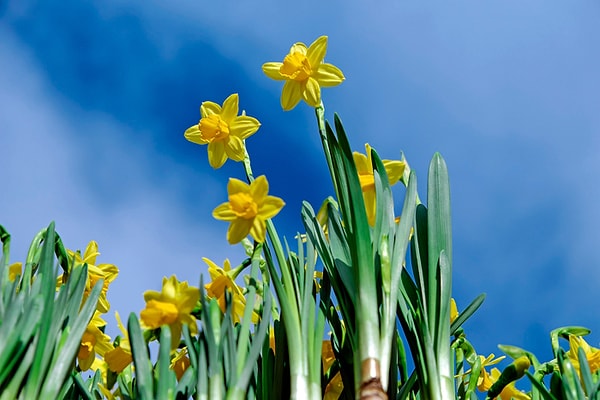 Вы родились в апреле!