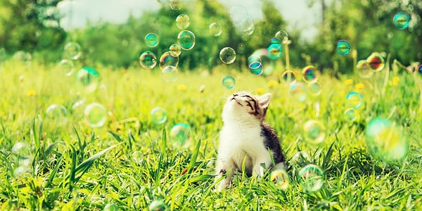 Вы родились в июле!