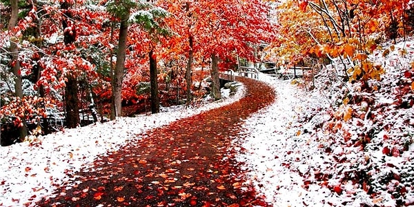 Вы родились в ноябре!