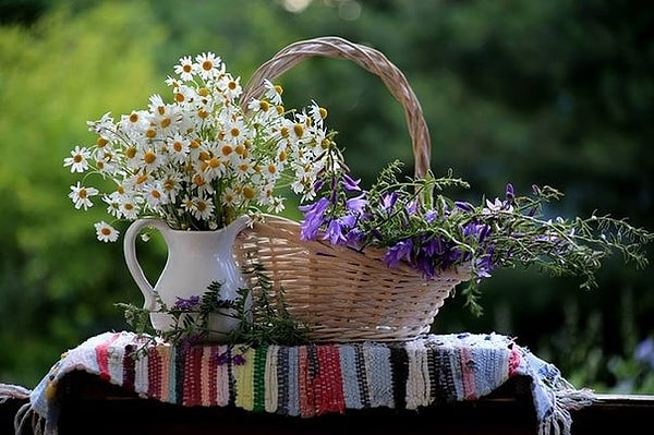 6. "Хорошо рассуждать о добродетели - не значит еще быть добродетельным, а быть справедливым в мыслях - не значит еще быть справедливым на деле"