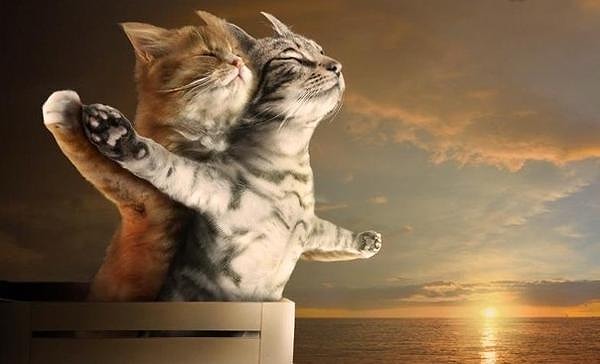 2. "Нужно иметь что-то общее, чтобы понимать друг друга, и чем-то отличаться, чтобы любить друг друга"