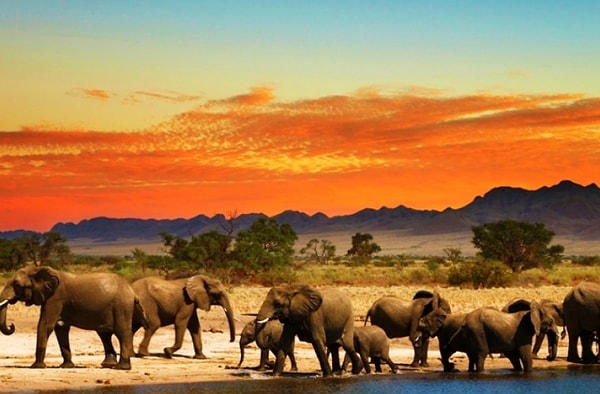 12. Самая большая страна в Африке?