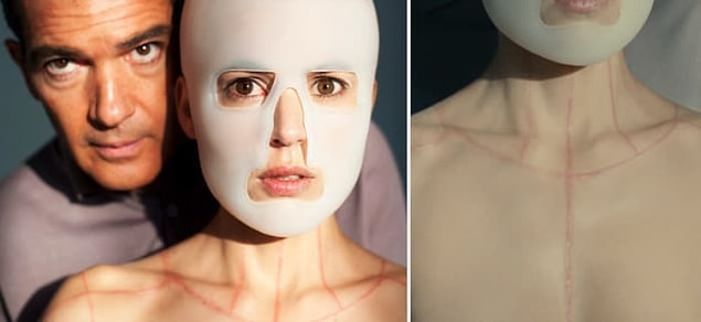 2. The Skin I Live In (2011)