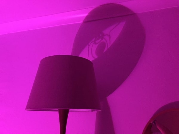 5. Тень от лампы выглядит так, будто бы паук играет с мячом 🤔