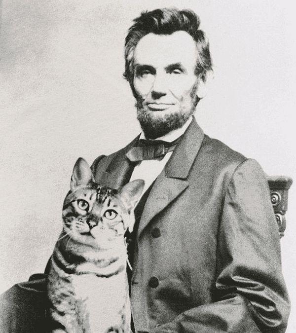 15. Abraham Lincoln kedileri çok severdi. Hatta bir keresinde Beyaz Saray'da verilen resmi bir yemekte kendi tabağından bir kediye yemek yedirdiği söylenir.
