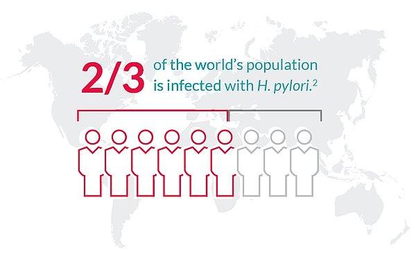 Aslında dünya nüfusunun 2/3'sinde bulunan bu bakteri Türkiye genel nüfusunda % 70 in üzerinde olduğu saptanmıştır.