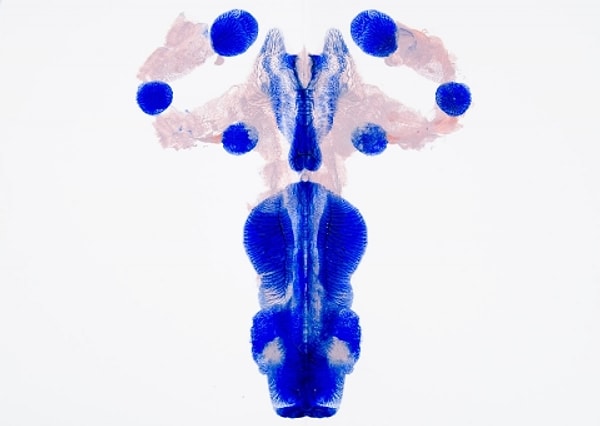 6. Что вы здесь видите?