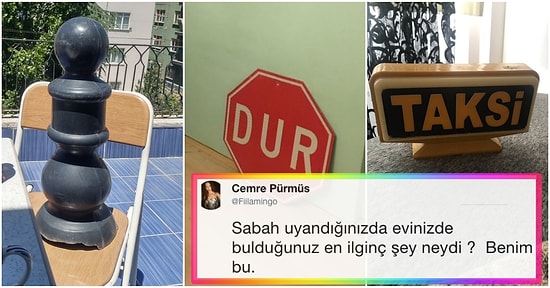 Sabah Uyandıklarında Buldukları En İlginç 'Şey'i Paylaşan İnsanların Evlerine Neler Taşıdıklarına İnanamayacaksınız!