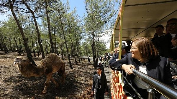 4. Doğru cevap! Türkiye'nin ilk Safari Parkı hangi ilimizde açılmıştır?