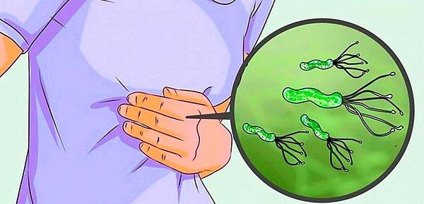 Helicobacter pylori nedir?