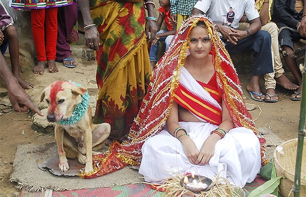 7. Замуж за бездомного пса