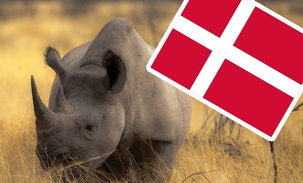 В Дании носороги не водятся!