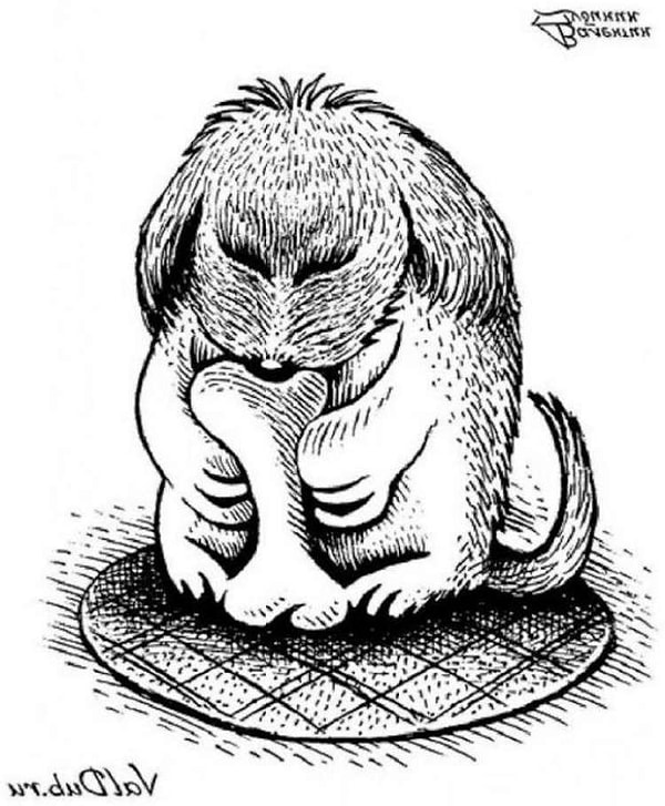 Кликайте, чтобы увидеть правильный ответ!