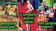 Sokak Lezzetleri ve Bloggerların Yeni Gözdesi Olan Tatil Adalarıyla Ünlü Tayland ile İlgili Birbirinden İlginç 19 Bilgi
