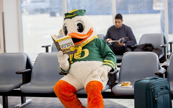 6. А что насчет идеальной работы?