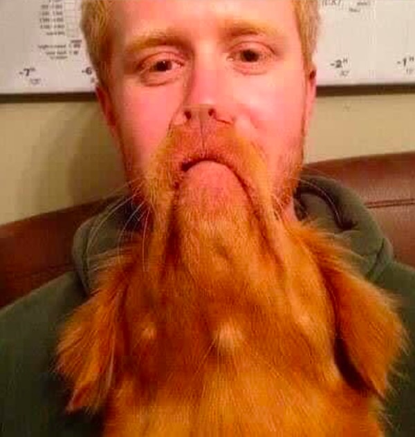 19. Узнали собаку в этой бороде?