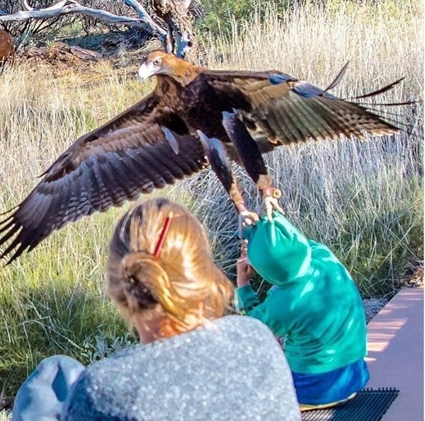9. Стать добычей орла - это, пожалуй, самый яркий опыт в ее жизни