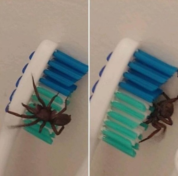 18. Да и зубы чистить тоже, если честно