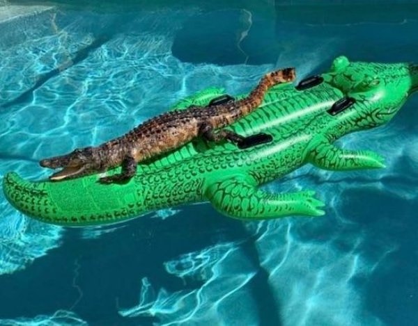 19. Вот это совпадение!