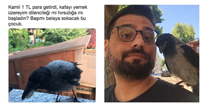 Parkta Ağaçtan Düşmüş Bir Halde Bulduğu Yavru Karganın Hayatını Kurtarıp Onunla Dost Olan Ozan'la Tanışın