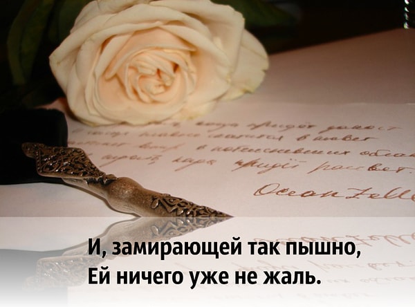 12. Что скажете?