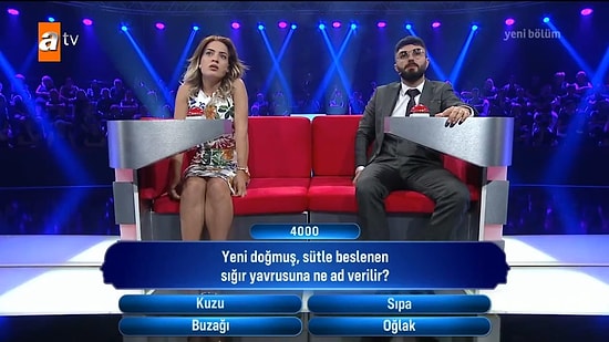 Müge Anlı ile Güven Bana Yarışmasına Damga Vuran 'Sığır Yavrusu Nedir?' Sorusu