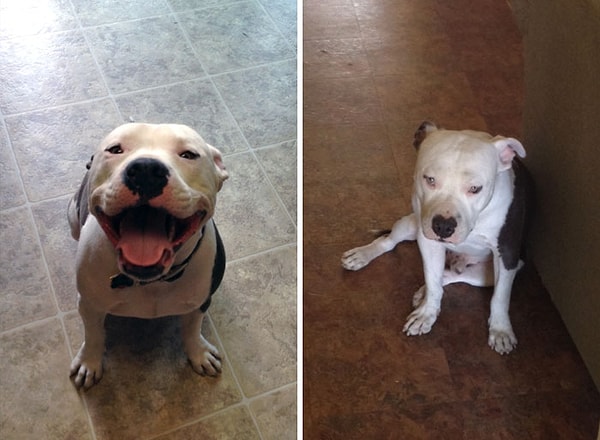 8. «Когда я прихожу с работы и когда ухожу»