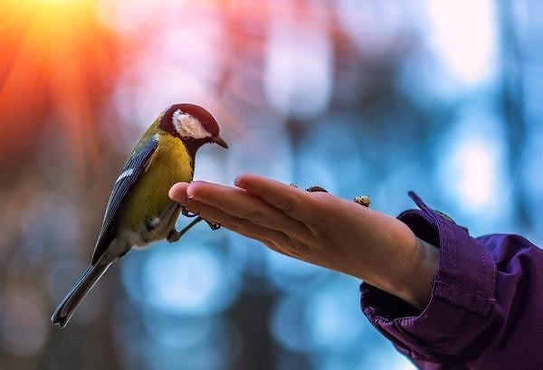 Вы очень добрый человек!