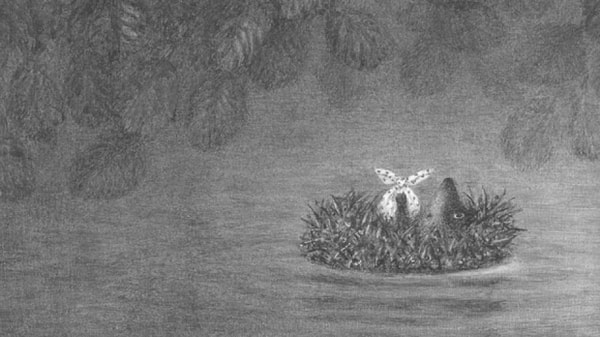 11. А цвет ёжика в тумане помните?